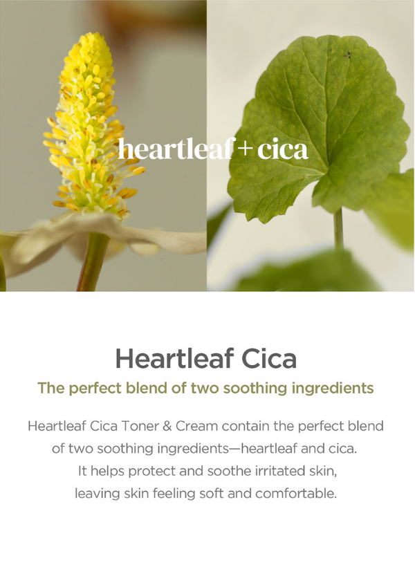 Our Vegan Heartleaf Cica Cream