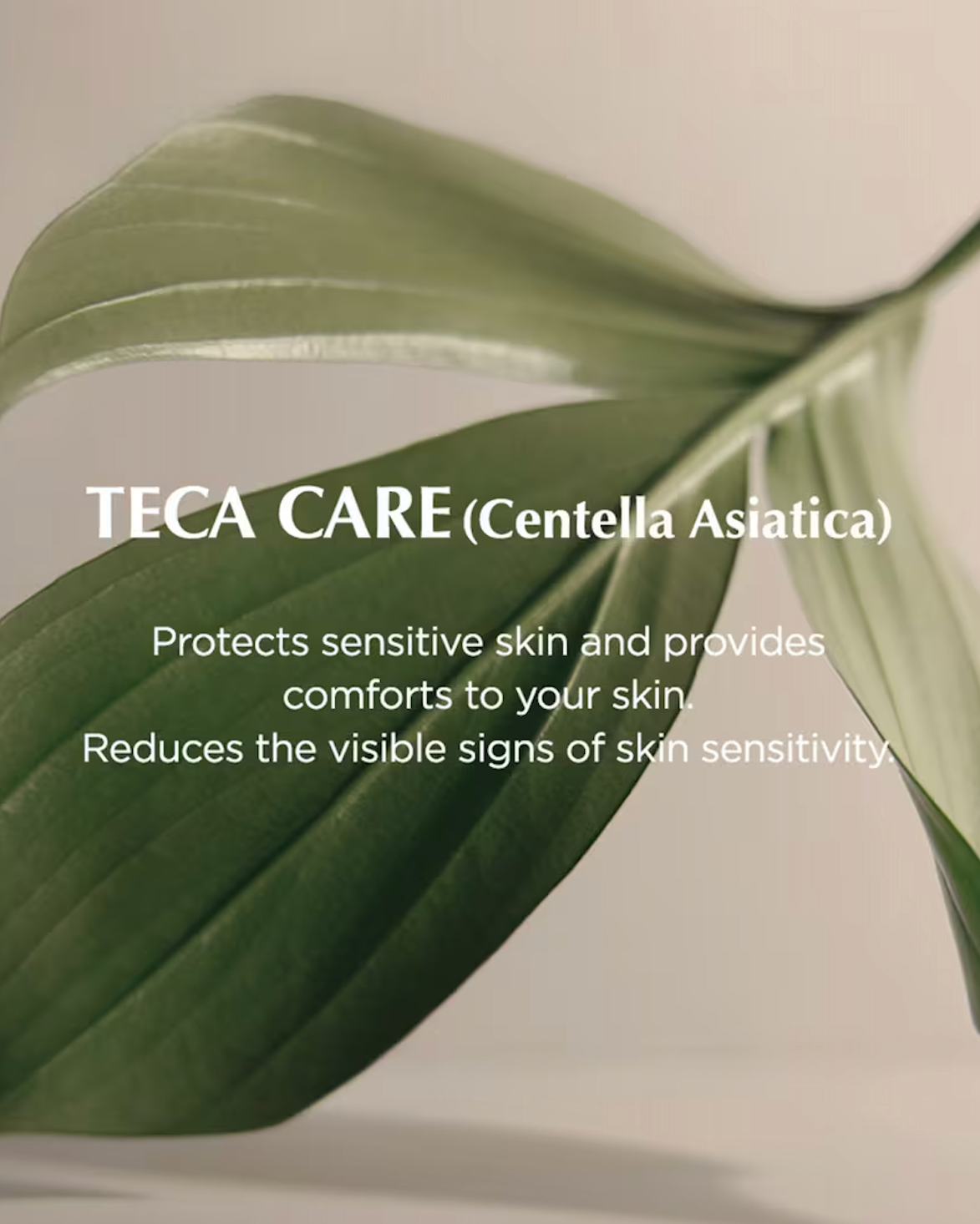 Bifida Biome Aqua Barrier Cream