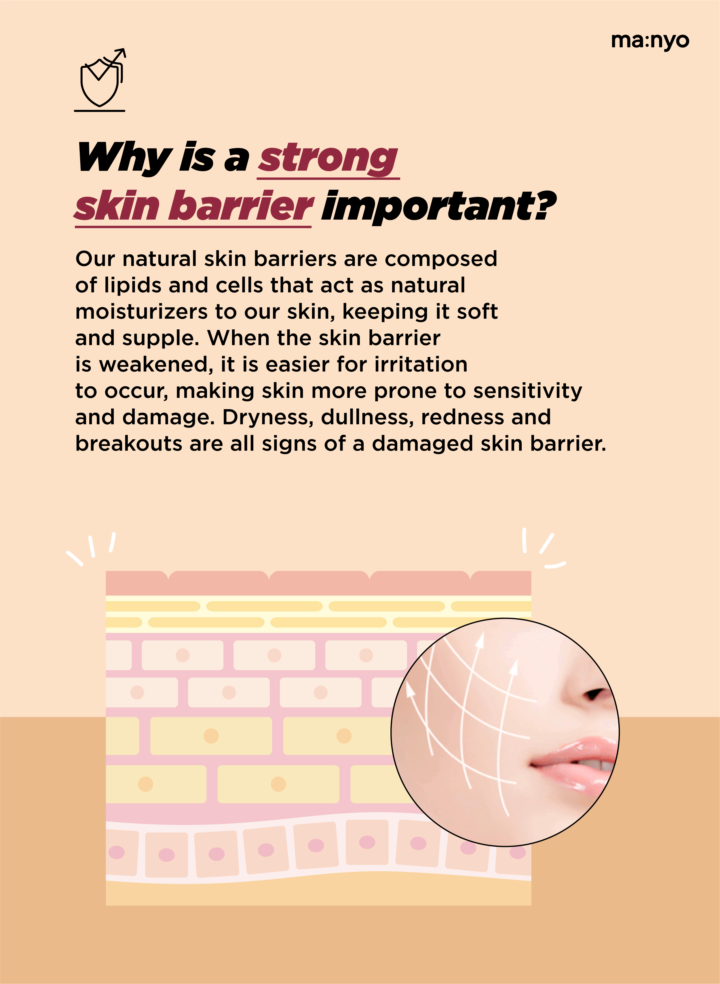 Bifida Biome Ampoule Toner - manyo US