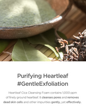 Our Vegan Heartleaf Cica Cleansing Foam Benefits