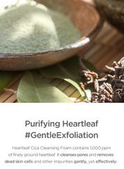 Our Vegan Heartleaf Cica Cleansing Foam Benefits