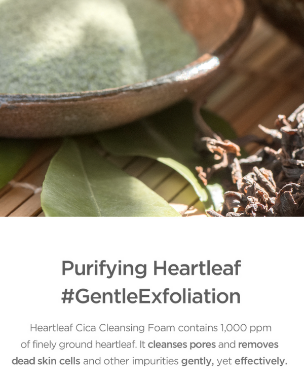 Our Vegan Heartleaf Cica Cleansing Foam Benefits