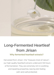 Our Vegan Heartleaf Cica Mask