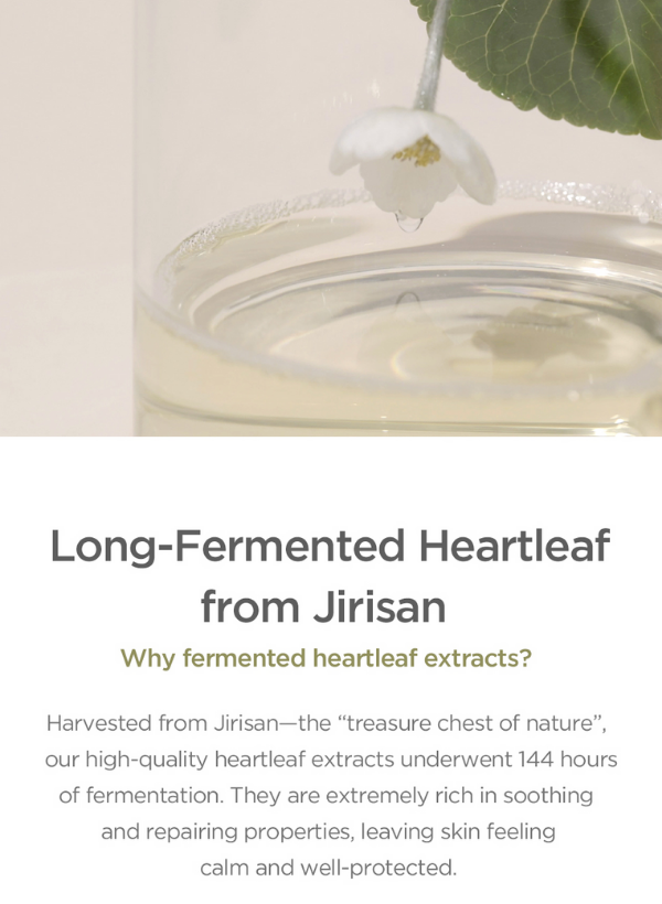 Our Vegan Heartleaf Cica Mask