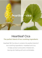 Our Vegan Heartleaf Cica Mask